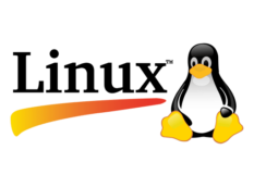 Linux Kurulum ve Onarım