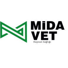 MİDAVET